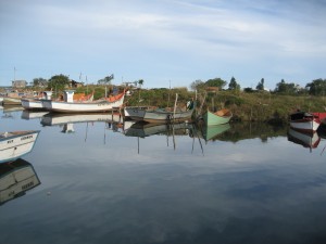 Boats2(J.Buono)