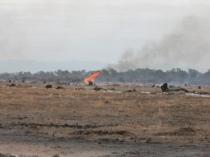 Deforestacion_Salta