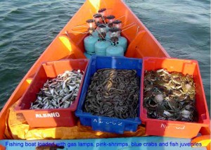 Loaded boat(D.Hellebrandt)