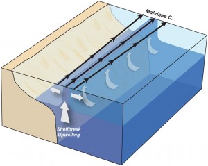 schematic_2