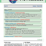 IAI Newsletter 2/2011